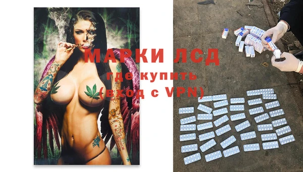 гашик Балахна