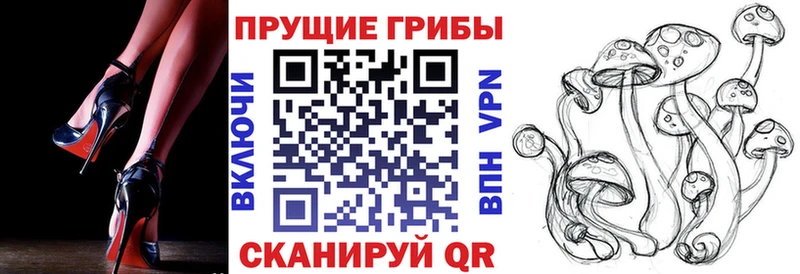 Галлюциногенные грибы Cubensis  Краснослободск 